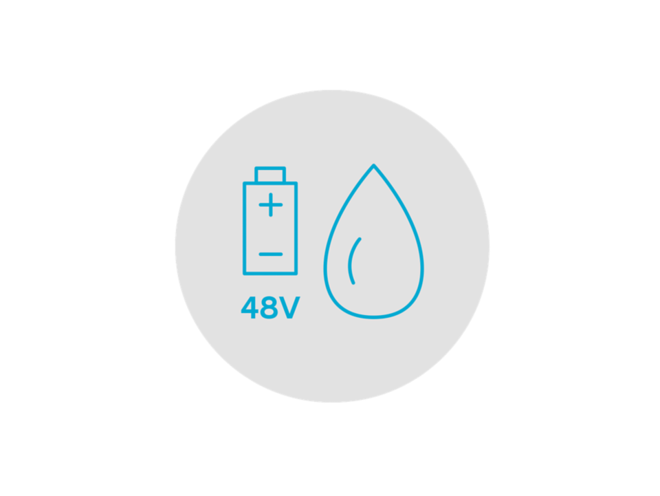 48 V mild hybrid.