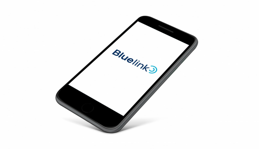 Bluelink Connected Car Services.